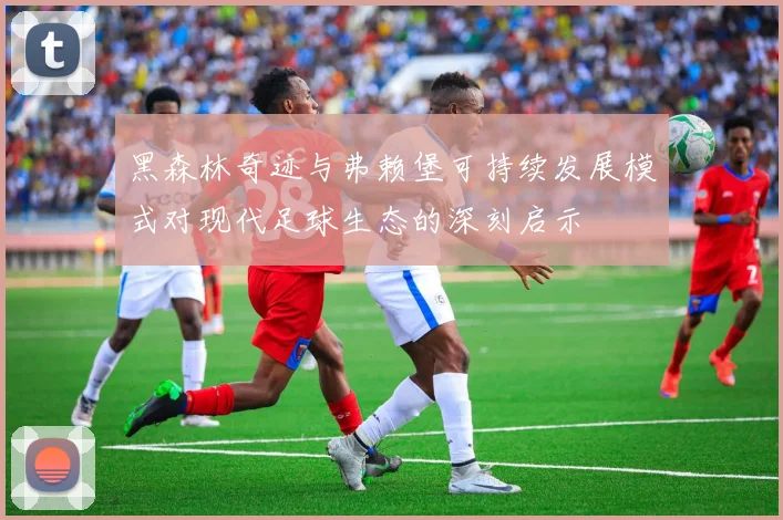 黑森林奇迹与弗赖堡可持续发展模式对现代足球生态的深刻启示