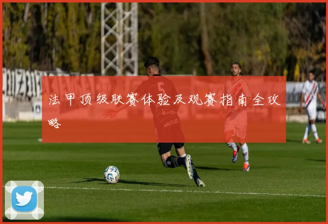 法甲顶级联赛体验及观赛指南全攻略