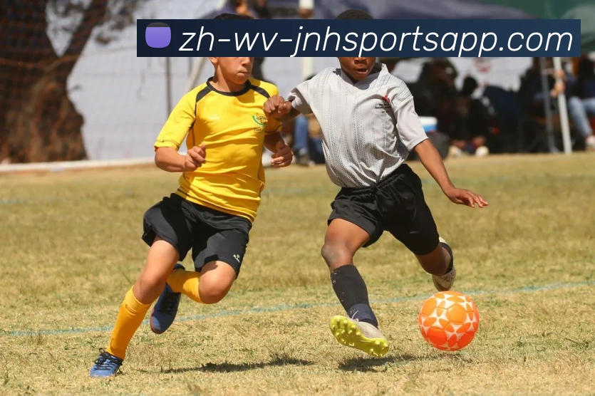 金年会体育平台生态图